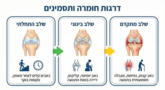 דרגות חומרה ותסמינים של שחיקת סחוס בברך אינפוגרפיקה: שלבי שחיקת סחוס בברך ותסמינים.